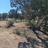 Review photo of Mesa Verde National Park Boundary (BLM Land) by johny R., June 26, 2025