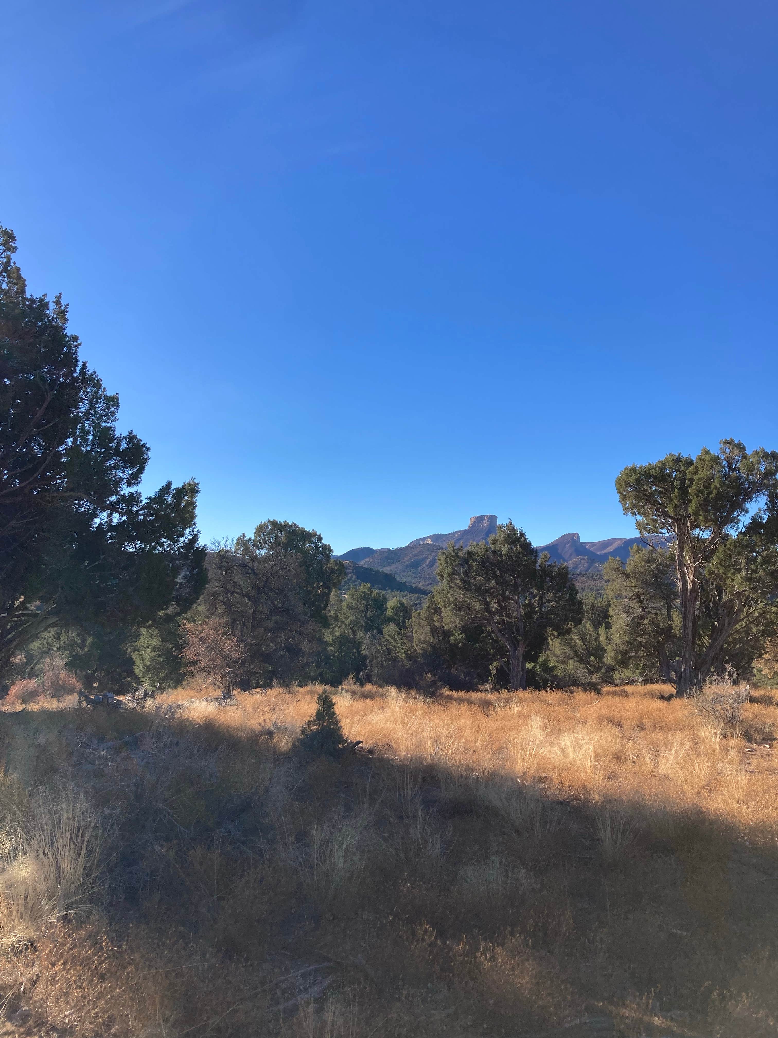 Lindsey C.'s photo of a dispersed camping area at Mesa Verde National Park Boundary (BLM Land) near Hesperus, CO