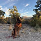 Review photo of Mesa Verde National Park Boundary (BLM Land) by Tymika B., August 17, 2026