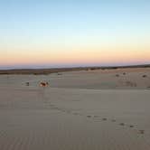 Review photo of mescalero sands rec area by Donnie B., October 17, 2025