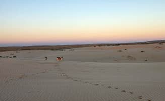 Donnie B.'s photo of camping with pets at mescalero sands rec area in New Mexico