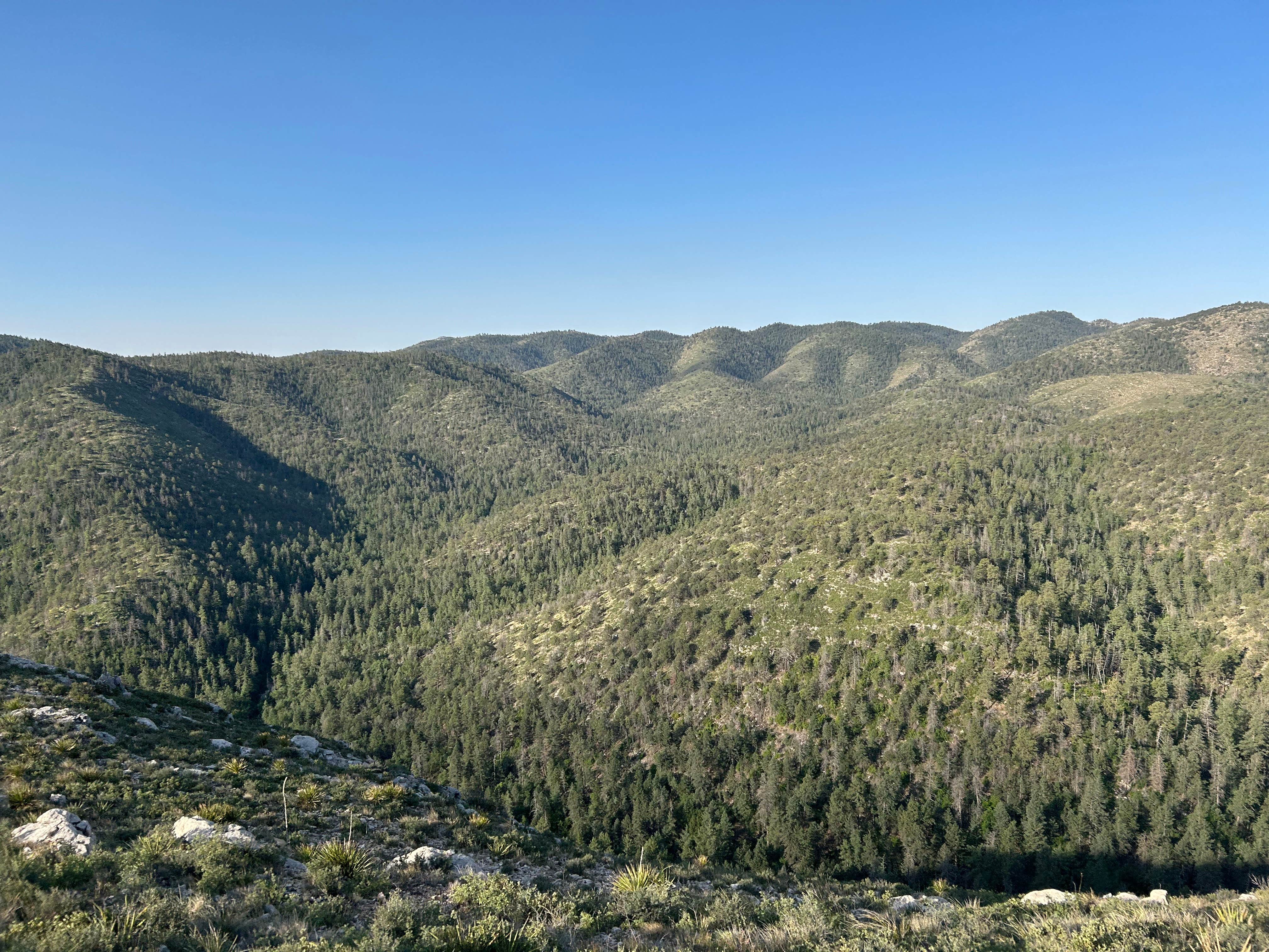 Camper submitted image from Mescalero Wilderness Campground — Guadalupe Mountains National Park - 3