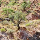 Review photo of Mesquite Campground — Palo Duro Canyon State Park by paul , September 15, 2024