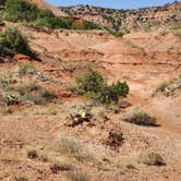 Review photo of Mesquite Campground — Palo Duro Canyon State Park by paul , September 15, 2024