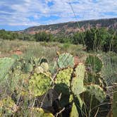 Review photo of Mesquite Campground — Palo Duro Canyon State Park by Texas Roving Ranger , July 9, 2024