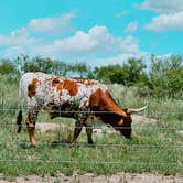 Review photo of Mesquite Campground — Palo Duro Canyon State Park by Texas Roving Ranger , July 9, 2024