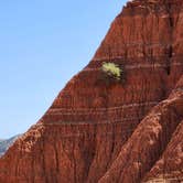 Review photo of Mesquite Campground — Palo Duro Canyon State Park by paul , September 15, 2024