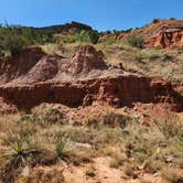 Review photo of Mesquite Campground — Palo Duro Canyon State Park by paul , September 15, 2024