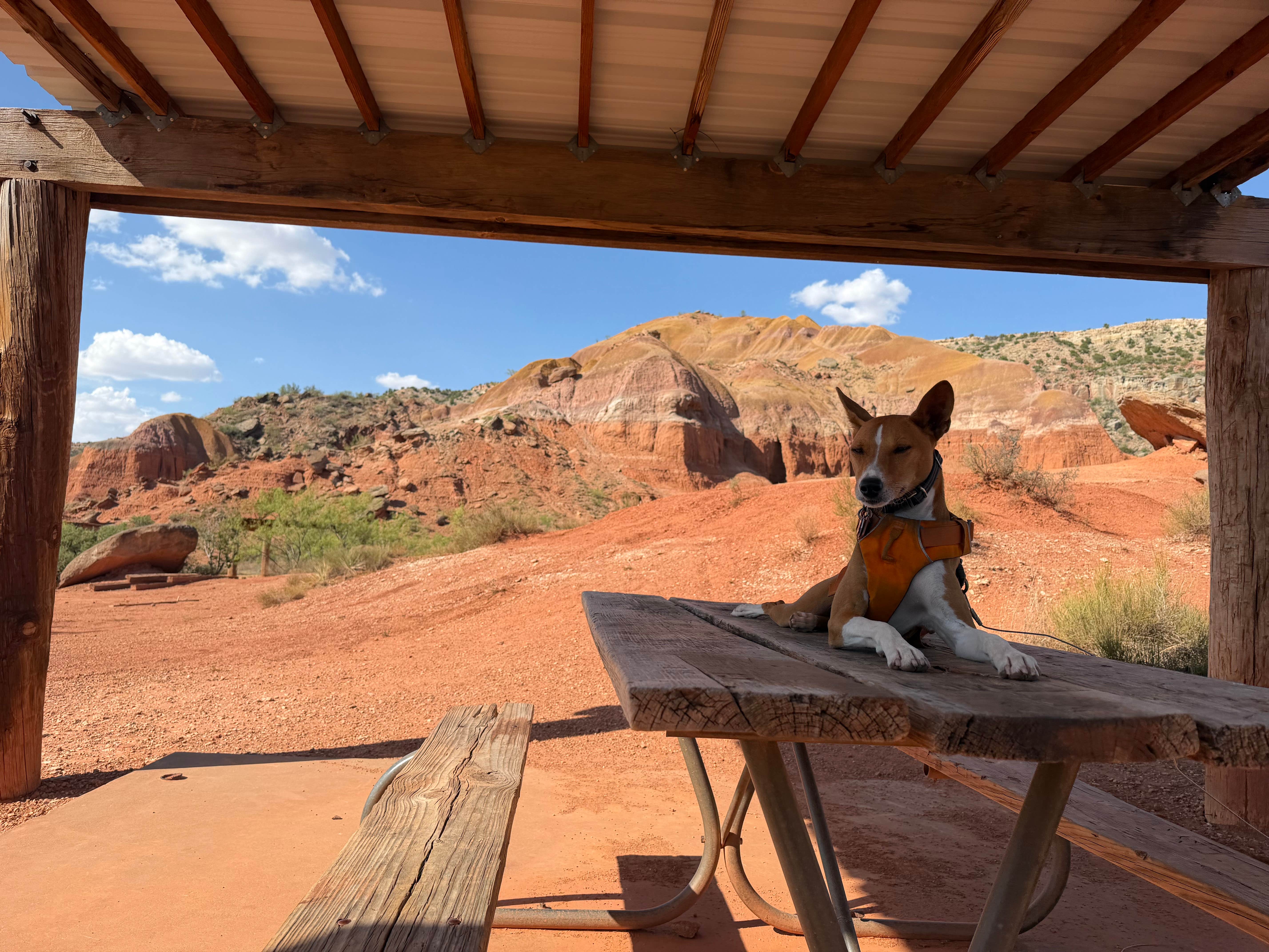 Darrell W.'s photo of camping with pets at Mesquite Campground — Palo Duro Canyon State Park near Amarillo, TX