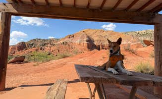 Darrell W.'s photo of camping with pets at Mesquite Campground — Palo Duro Canyon State Park near Canyon, TX