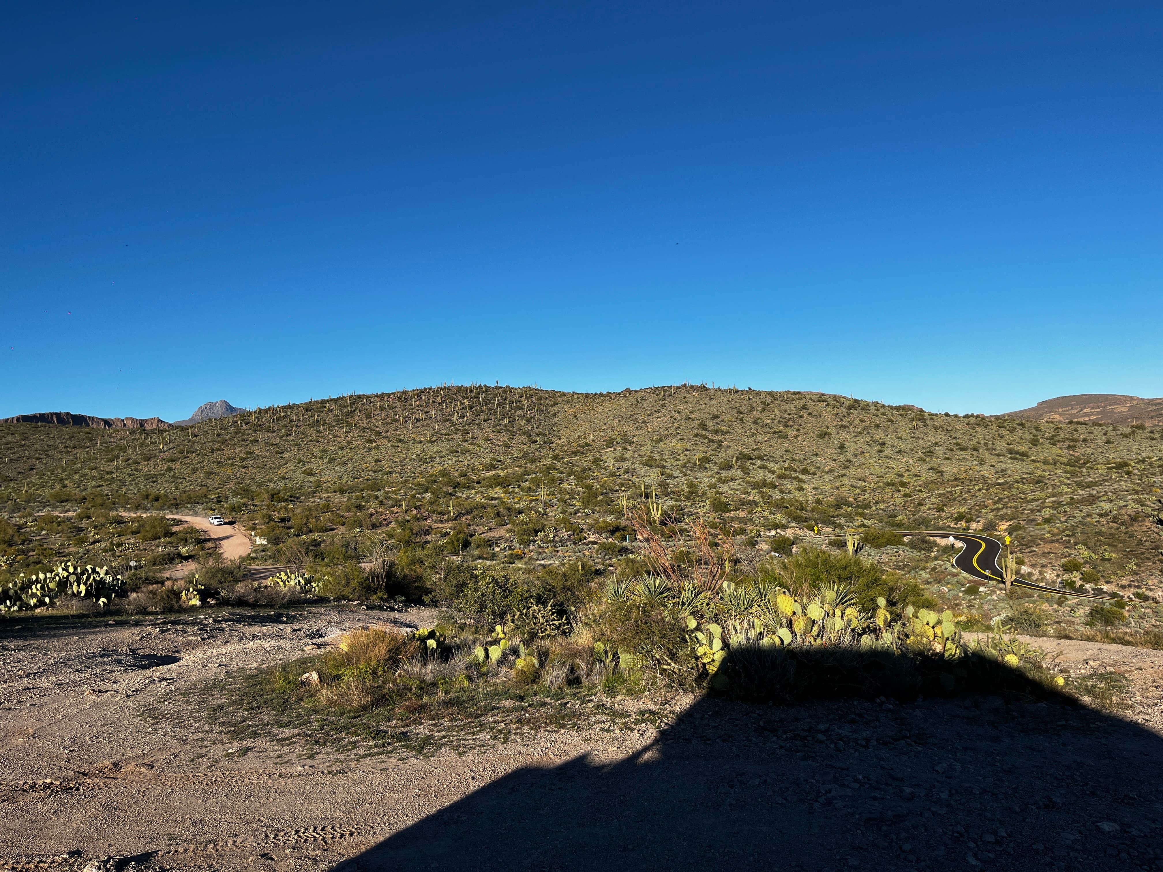 Camper submitted image from Mesquite Flats South - 3