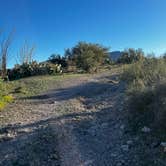 Review photo of Mesquite Flats South by Curious Compass B., December 16, 2025