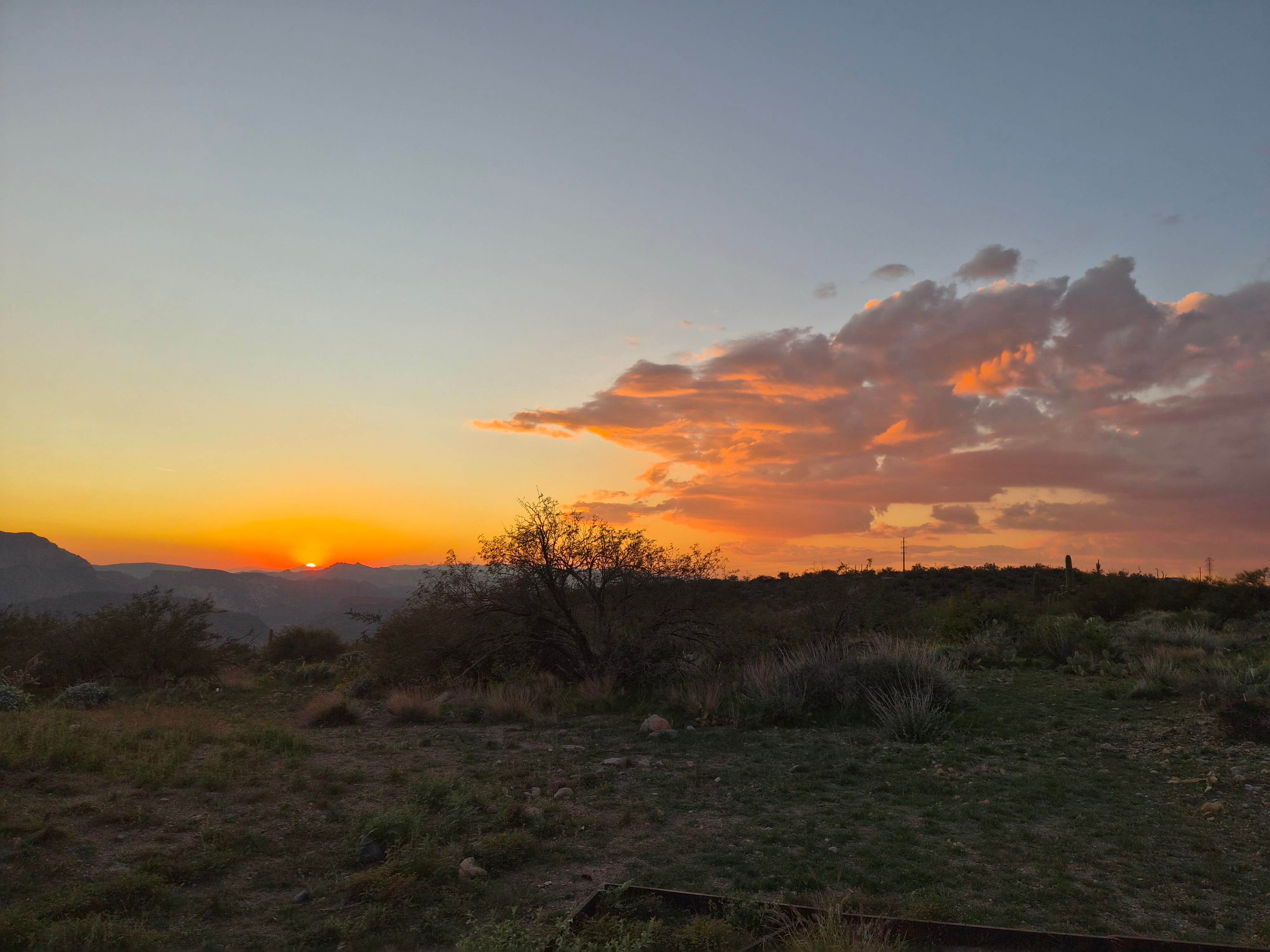 Camper submitted image from Mesquite Flats - 1