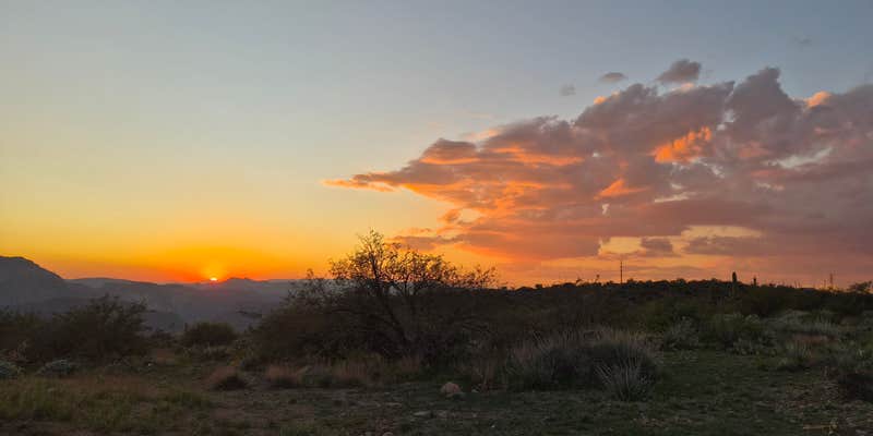 Camper submitted image from Mesquite Flats
