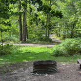 Review photo of Agate Beach Park Campground by Gayle B., September 17, 2026