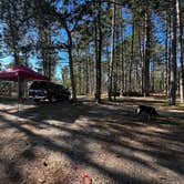 Review photo of Andrus Lake State Forest Campground by Gerard E., May 21, 2026