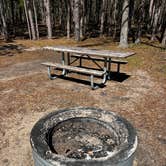 Review photo of Andrus Lake State Forest Campground by Gerard E., May 21, 2026