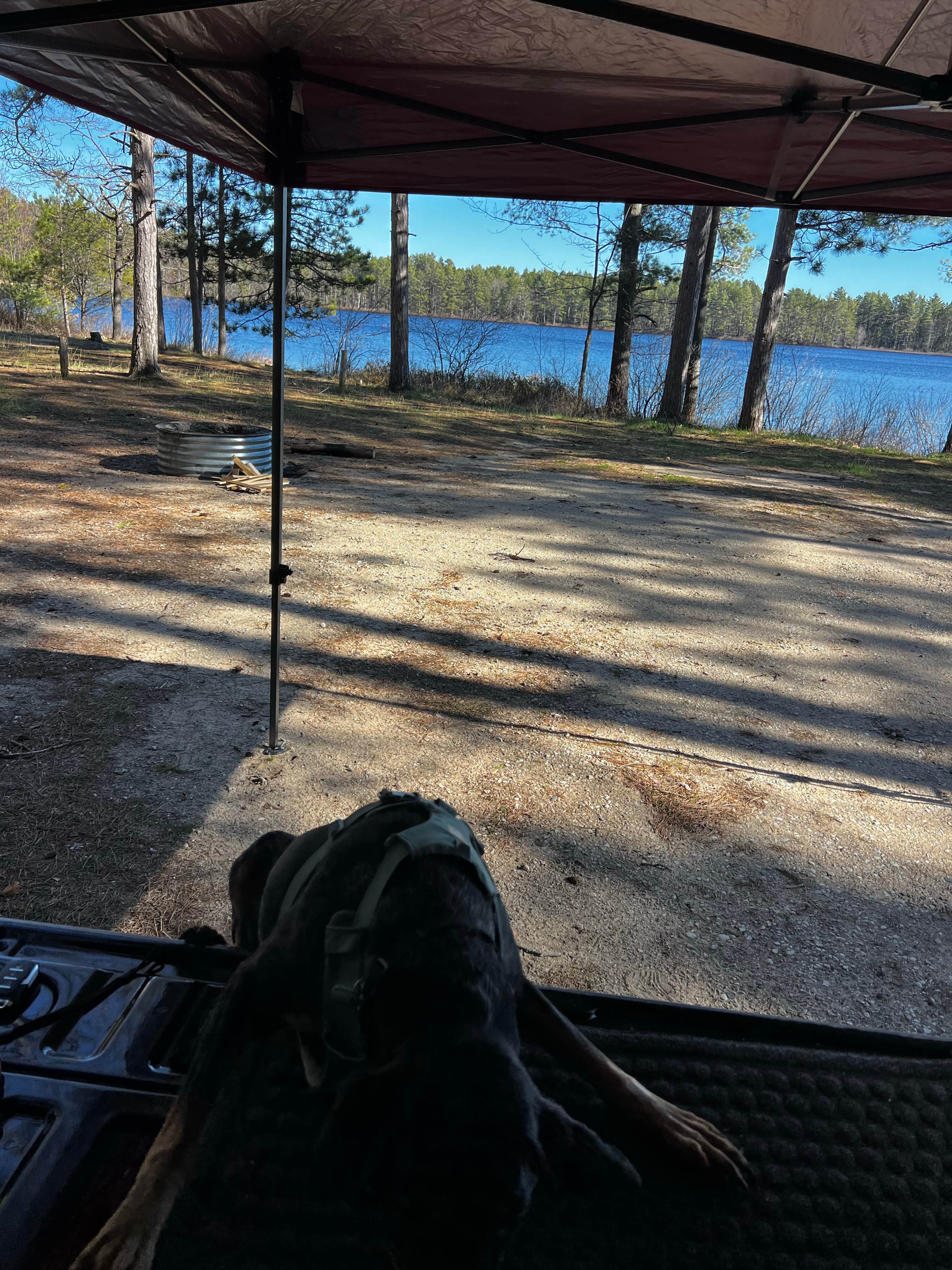 Gerard E.'s photo of camping with pets at Andrus Lake State Forest Campground near Paradise, MI