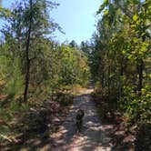 Review photo of Andrus Lake State Forest Campground by Djakata S., September 23, 2024