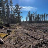 Review photo of Andrus Lake State Forest Campground by Gerard E., May 21, 2026