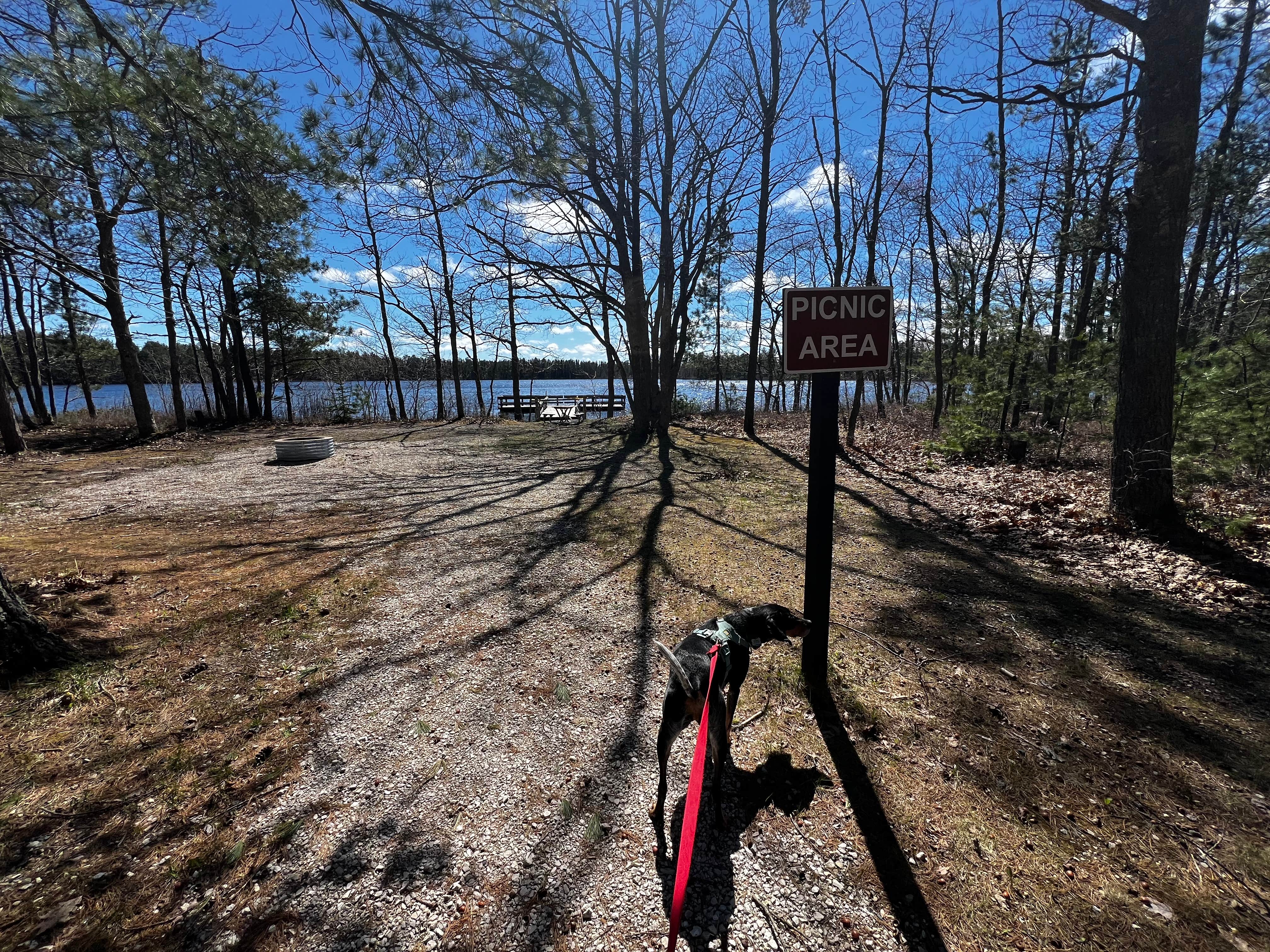 Gerard E.'s photo of camping with pets at Andrus Lake State Forest Campground near Eckerman, MI