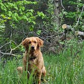 Review photo of Arbutus Lake State Forest Campground by Sarah N., May 27, 2026