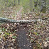 Review photo of Au Train Lake Campground by Raquel M., September 3, 2025