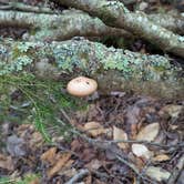Review photo of Au Train Lake Campground by Raquel M., September 3, 2025
