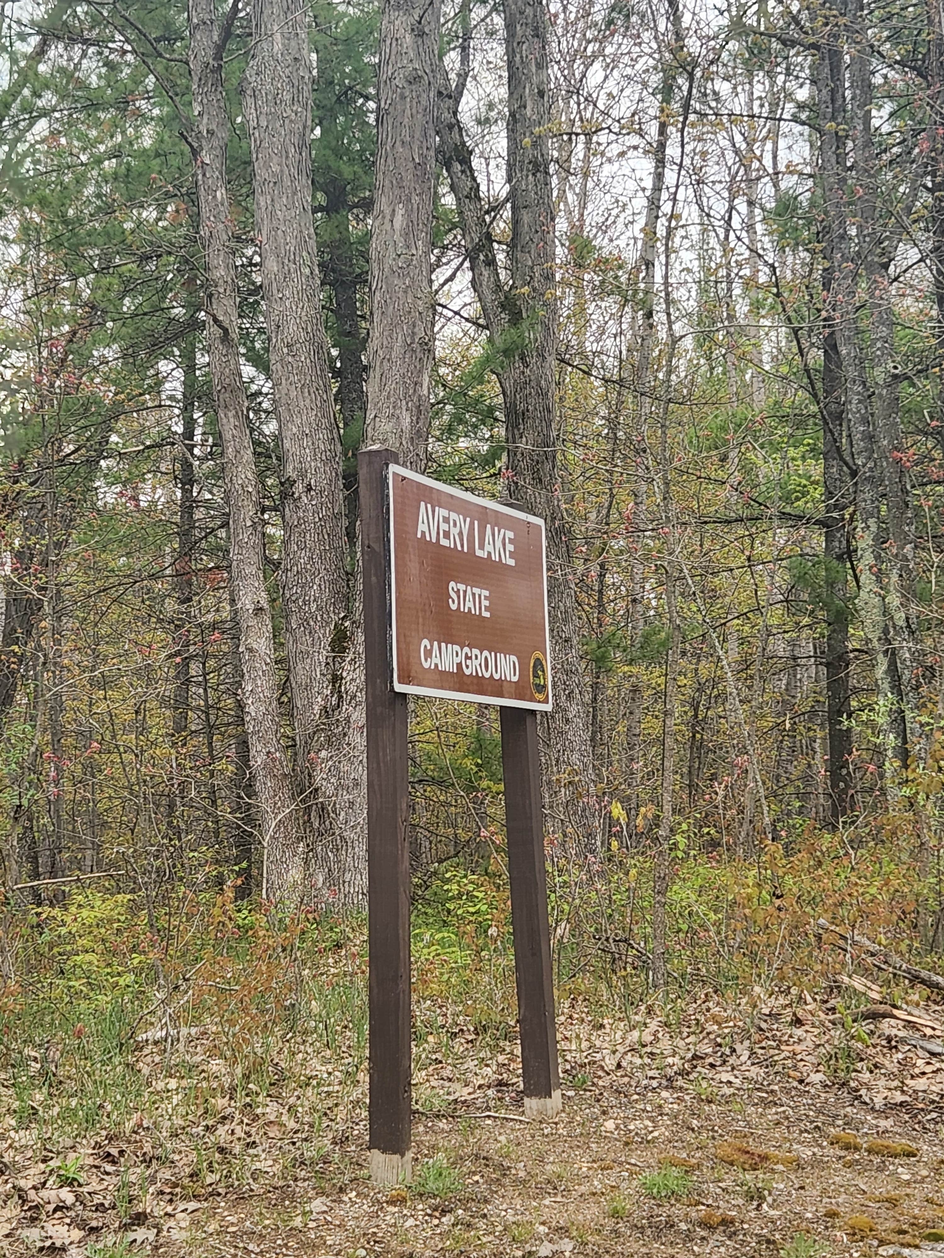 Camper-submitted photo at Avery Lake State Forest Campground near Atlanta, MI