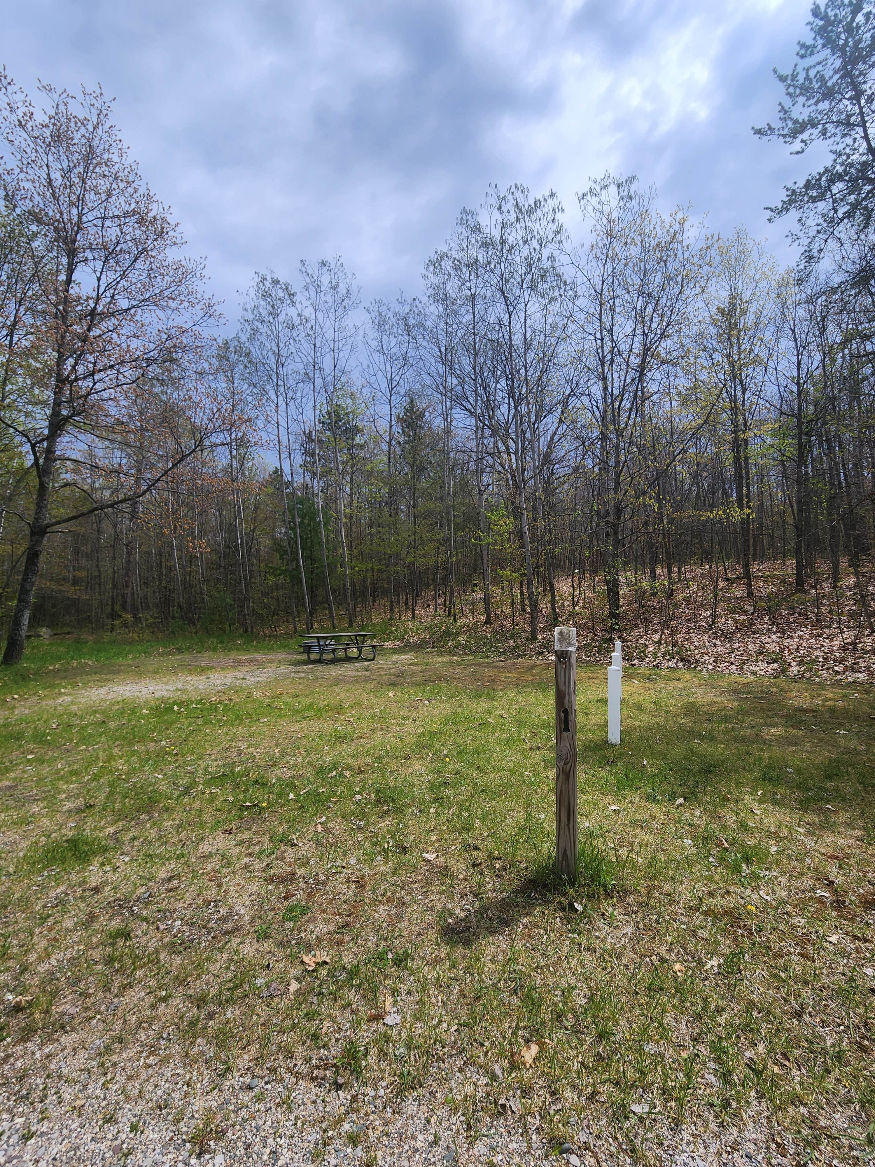 Camper submitted image from Avery Lake State Forest Campground - 1