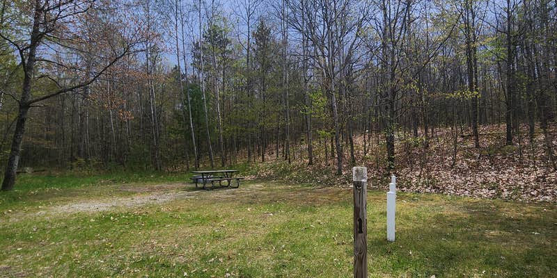 Camper submitted image from Avery Lake State Forest Campground