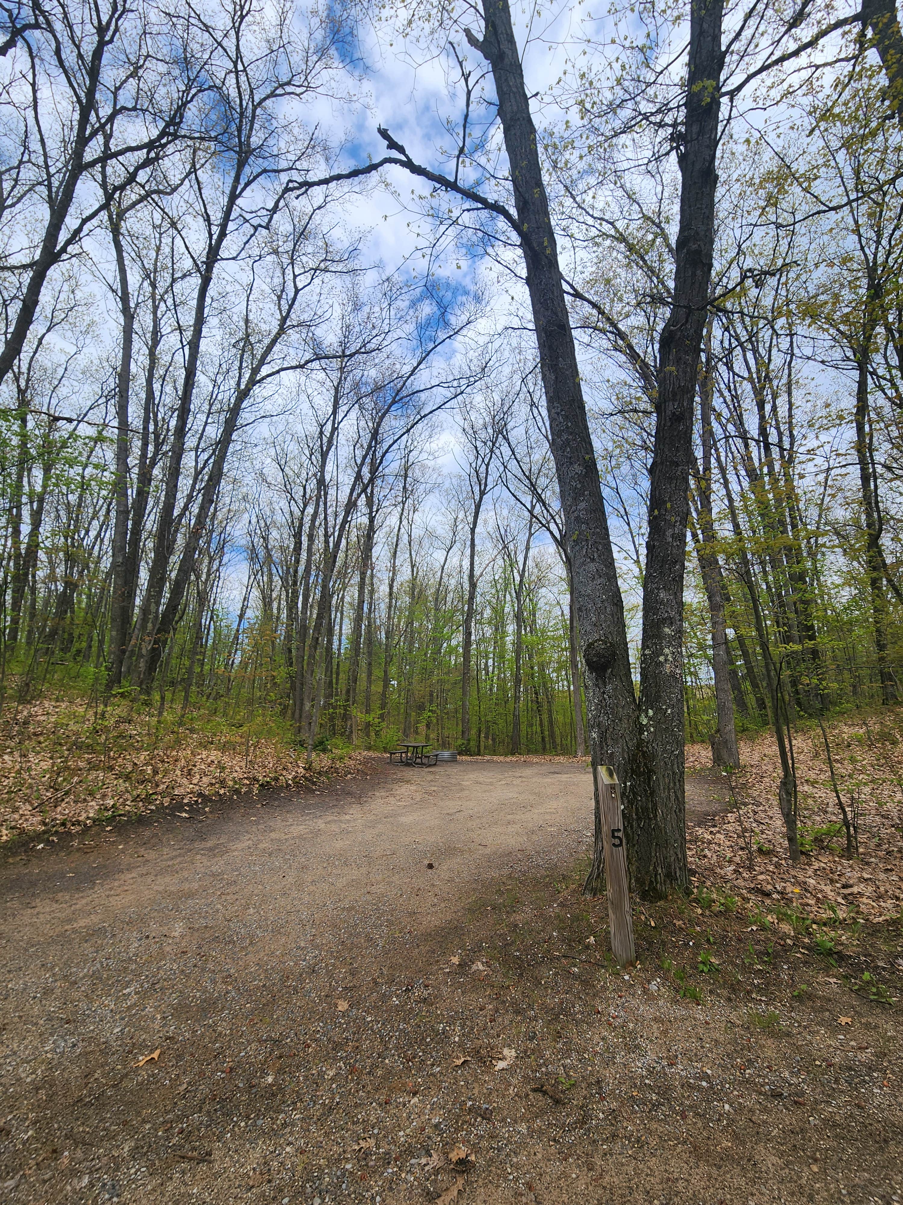 Camper-submitted photo at Avery Lake State Forest Campground near Atlanta, MI