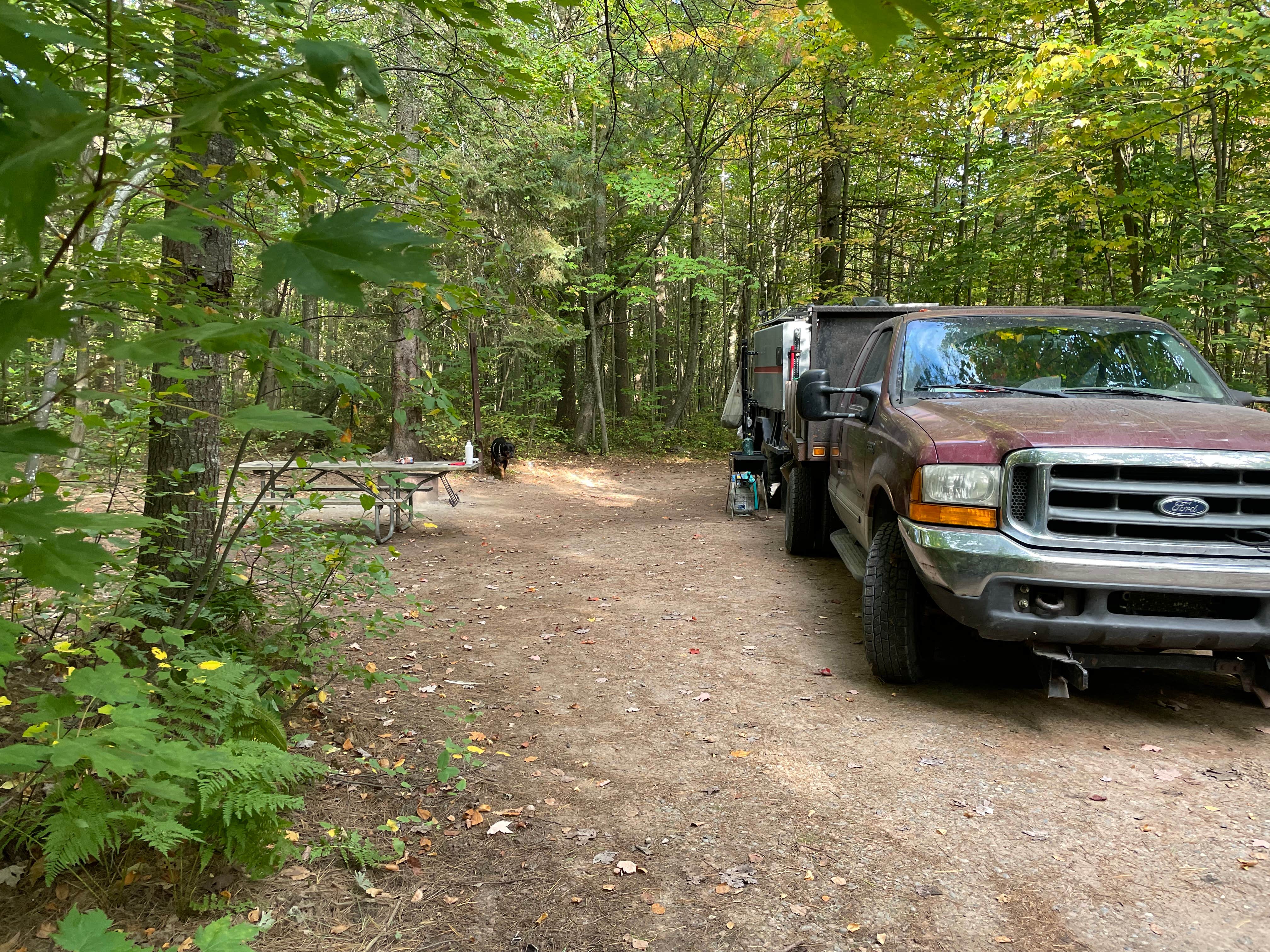 Clete B.'s photo of camping with pets at Bay Furnace Campground near Marquette, MI