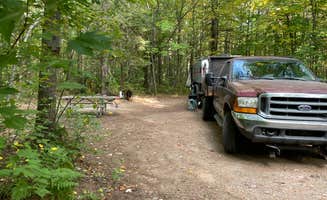 Clete B.'s photo of camping with pets at Bay Furnace Campground near Pictured Rocks National Lakeshore