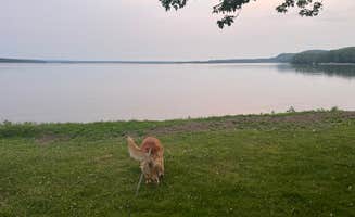 Ryan G.'s photo of camping with pets at Bergland Township Park & Campground near White Pine, MI
