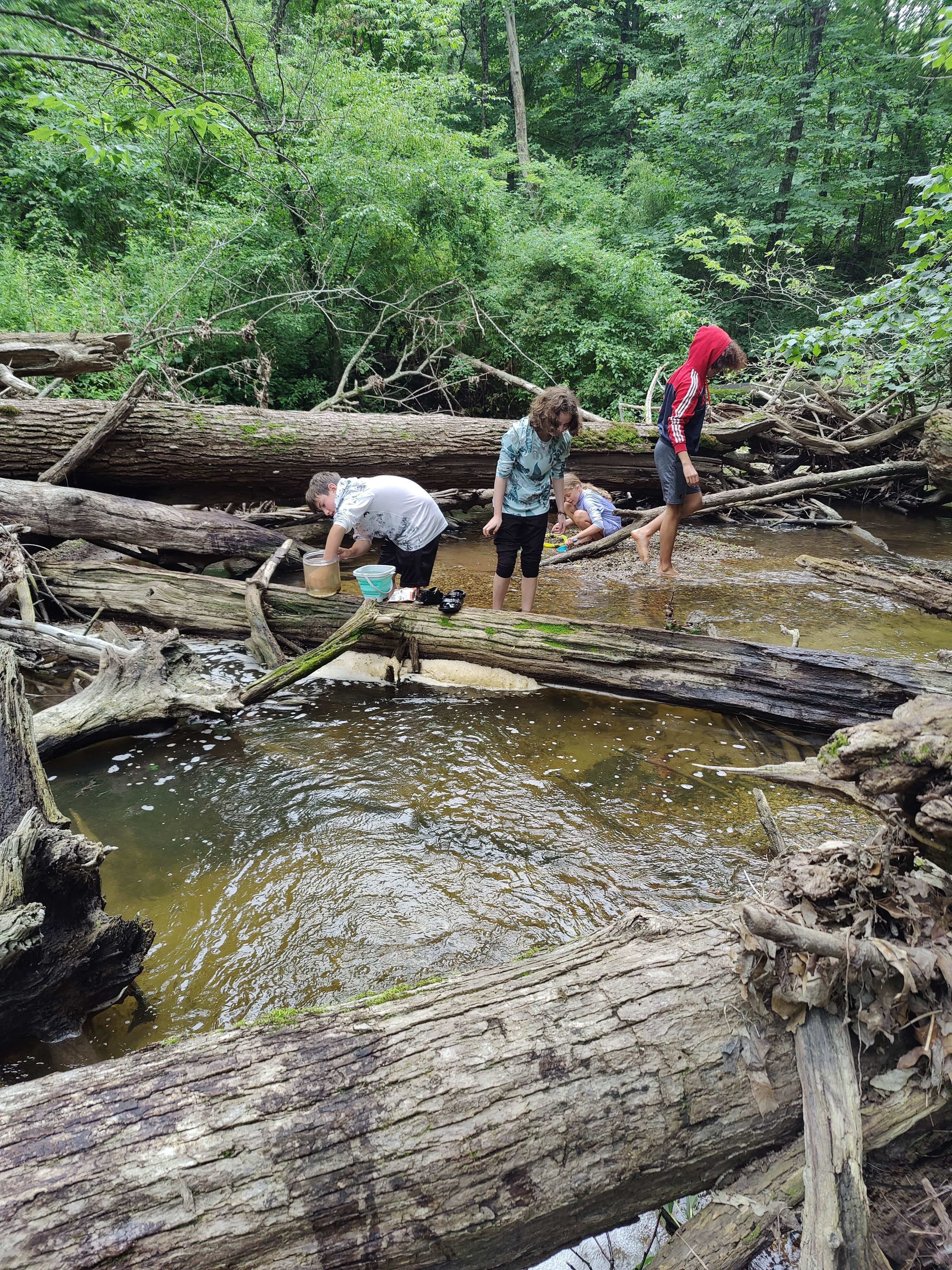 Camper-submitted photo at Bertha Brock County Park near Potterville, MI