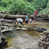 Review photo of Bertha Brock County Park by Coral C., July 5, 2024