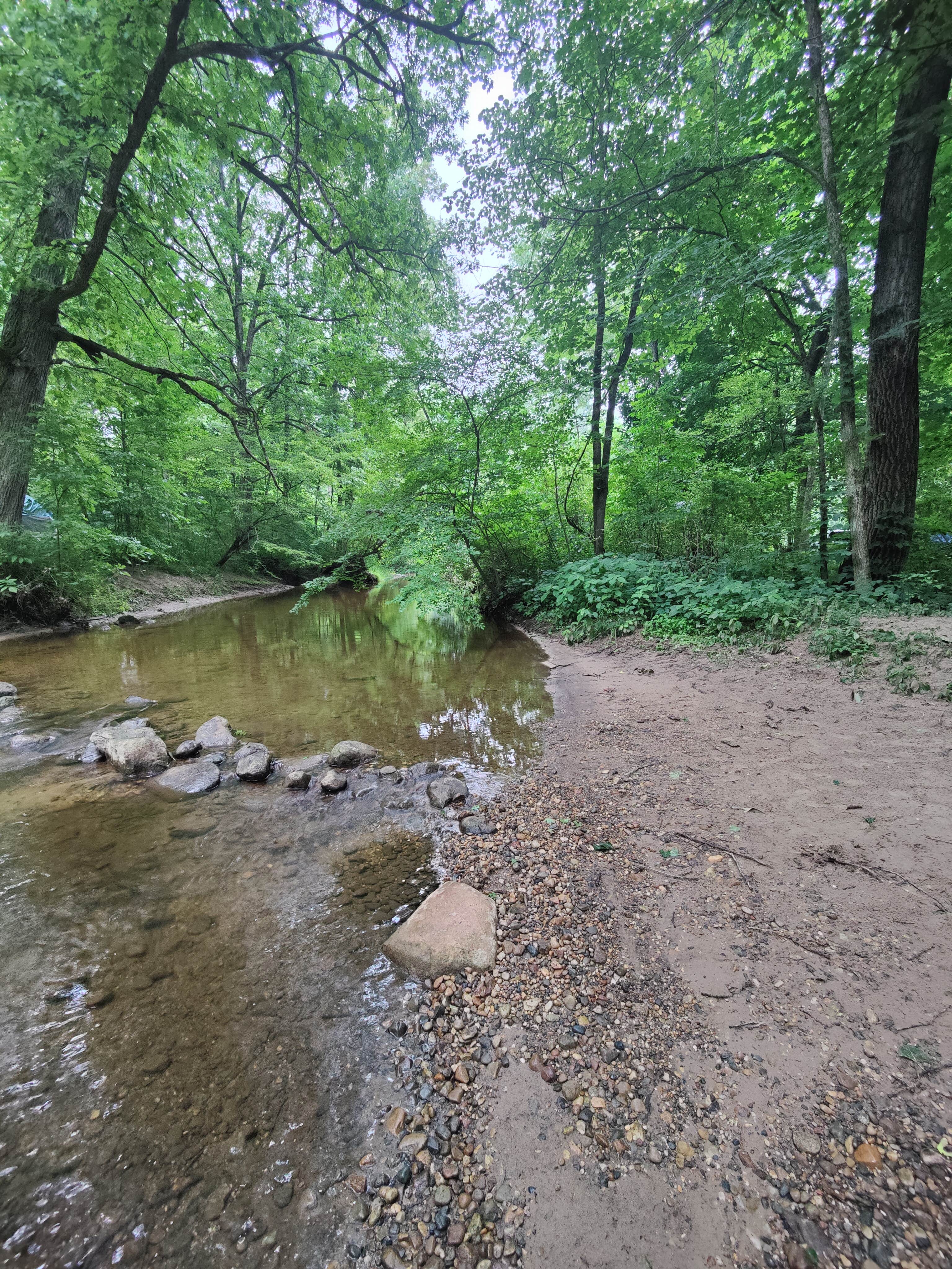 Camper-submitted photo at Bertha Brock County Park near Potterville, MI