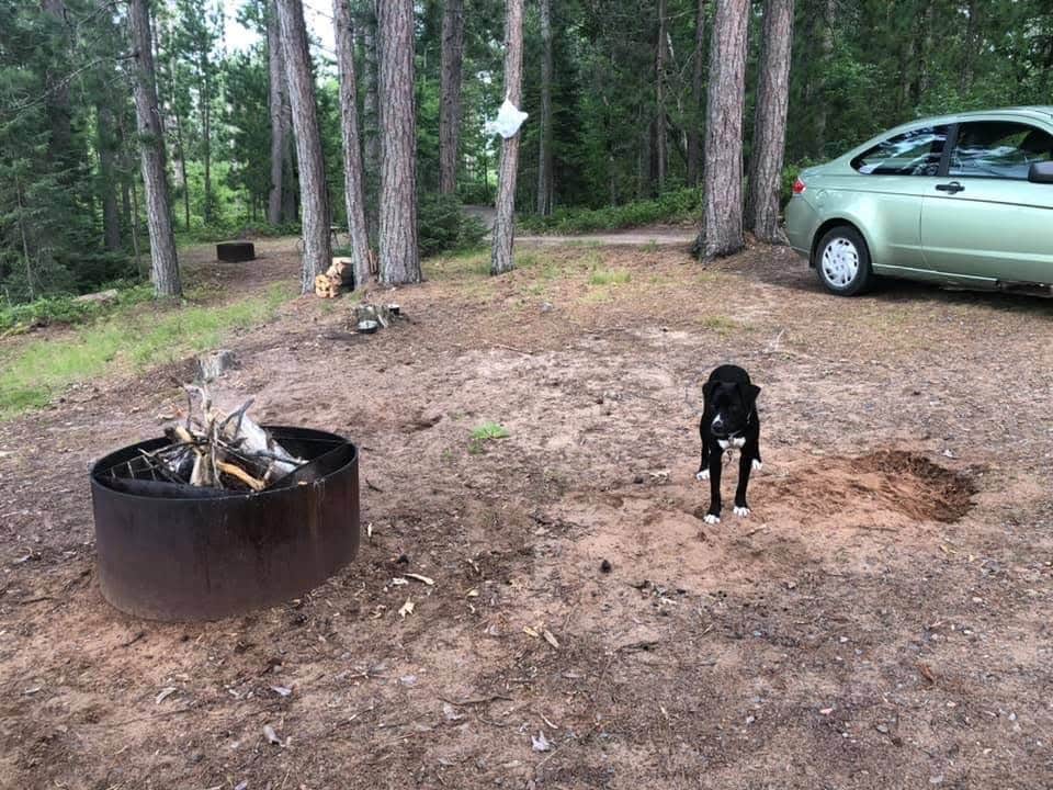Amy K.'s photo of camping with pets at Big Lake State Forest Campground near Keweenaw Bay, MI