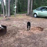 Review photo of Big Lake State Forest Campground by Amy K., April 27, 2025