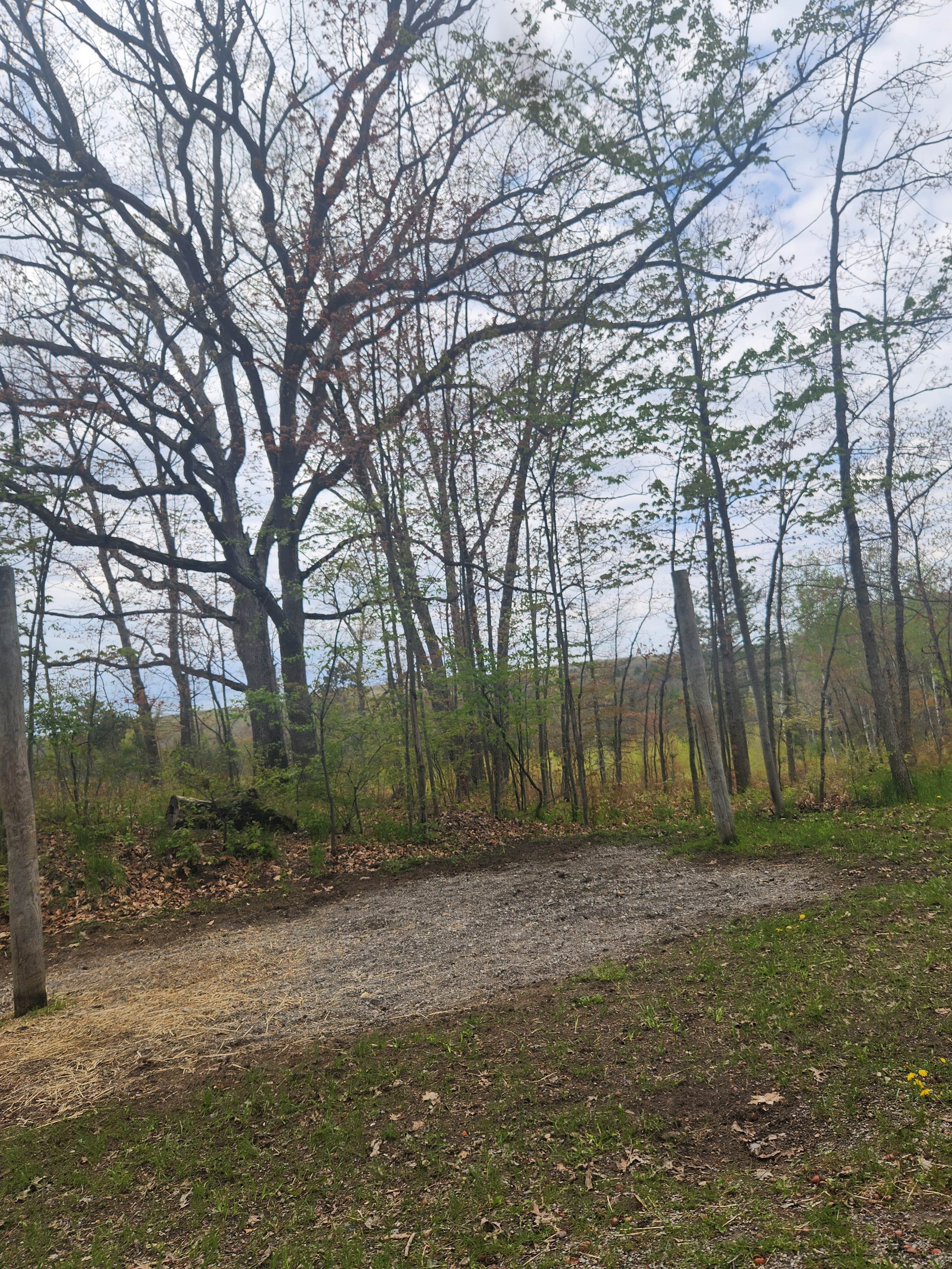 Camper-submitted photo at Big Oaks Equestrian State Campground near West Branch, MI