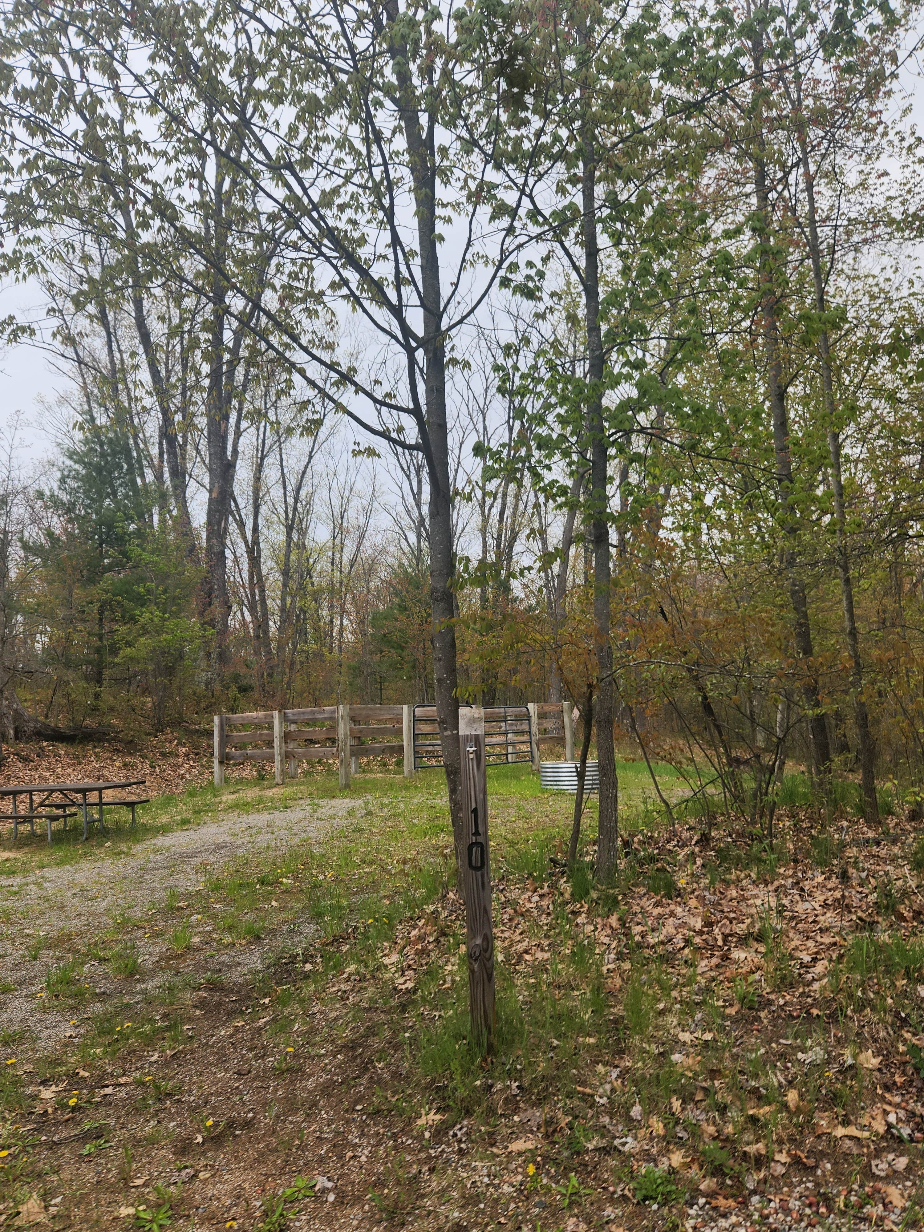 Camping near Lewiston Shady Acres Campground: Big Oaks Equestrian State Campground, Atlanta, Michigan