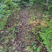 Review photo of Black Creek State Forest Campground by lindsay S., August 25, 2025