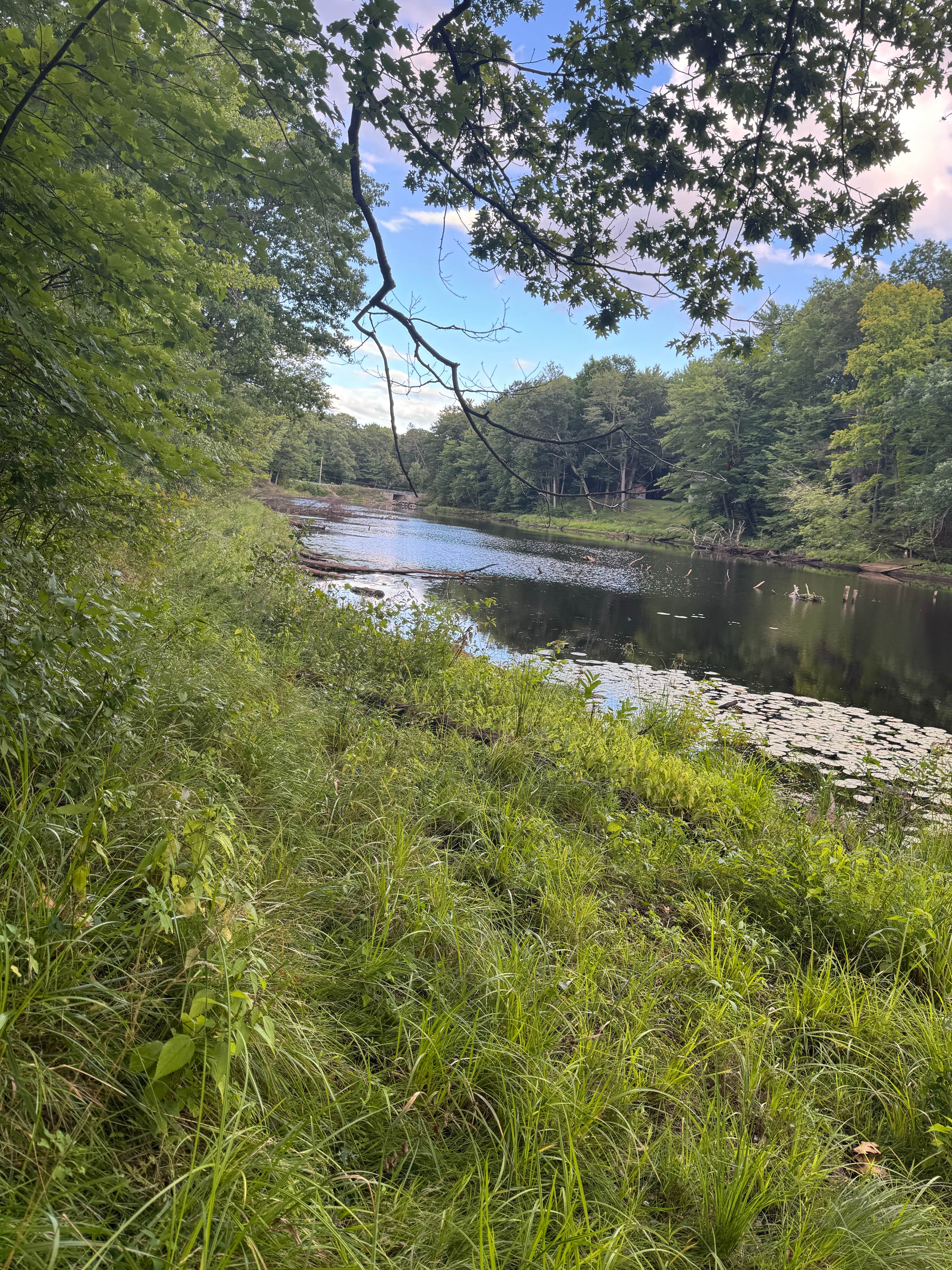 Camper submitted image from Black Creek State Forest Campground - 1