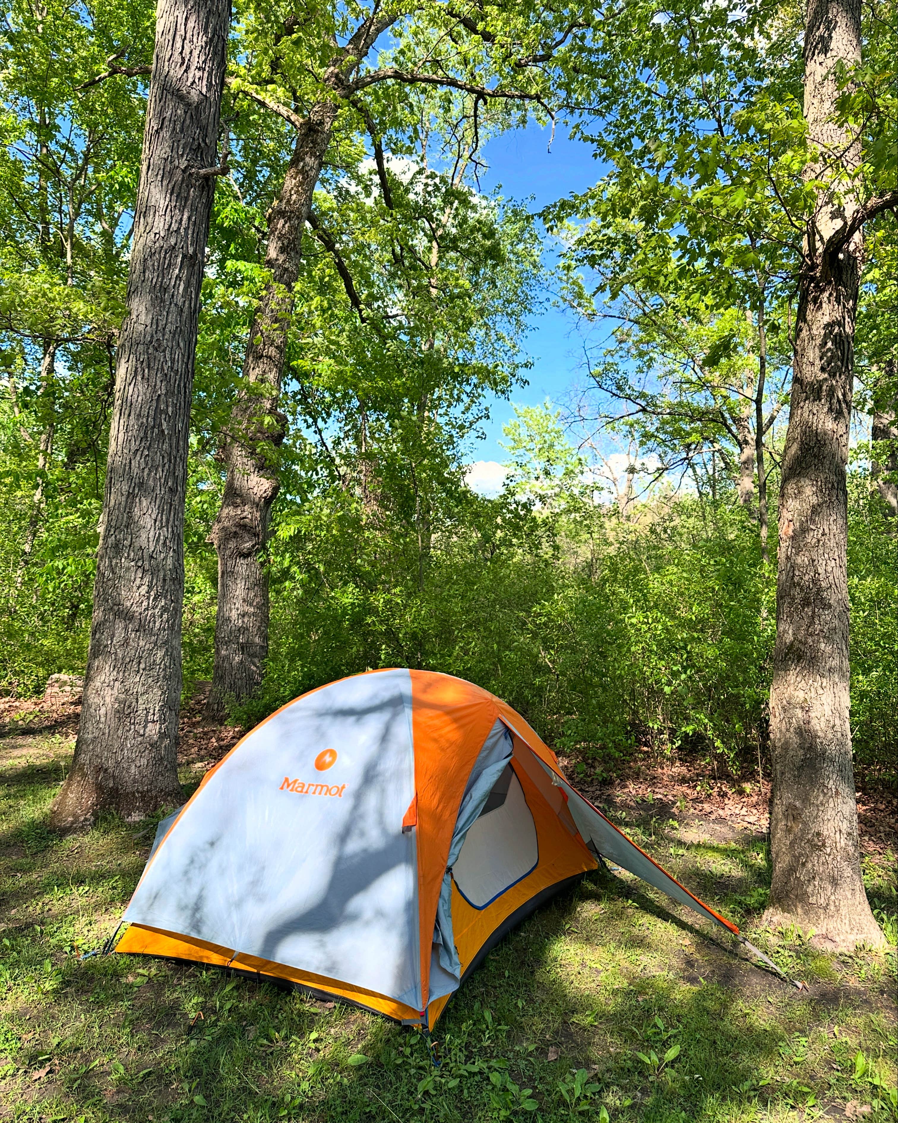 Camper-submitted photo at Appleton Lake Campground near New Hudson, MI