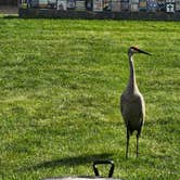 Review photo of Bishop Lake Campground by Edward C., June 1, 2024