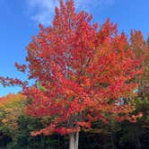 Review photo of Brimley State Park Campground by richard D., September 30, 2026