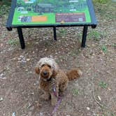 Review photo of Camp Seven Lake Campground by alicianlv , September 3, 2025