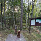 Review photo of Camp Seven Lake Campground by alicianlv , September 3, 2025