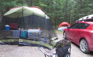 Kay K.'s photo at Camp Seven Lake Campground near Nahma, MI